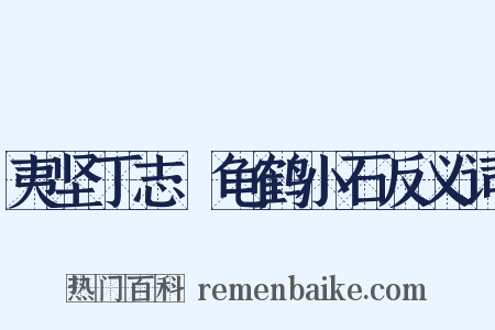 夷坚丁志·龟鹤小石反义词是什么意思的图片